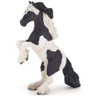 Cob cabré