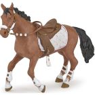 Cheval de la cavalière fashion hiver