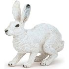 Lièvre polaire