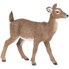 Biche de virginie