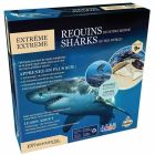 Wes extrême requins