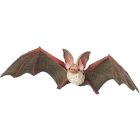 Chauve-souris