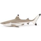 Requin à pointes noires