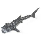 Requin baleine
