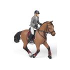 Cheval de concours et cavalier de concours