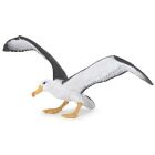 Albatros