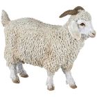 Chèvre angora