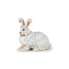 Lapin angora