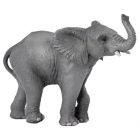 Jeune Éléphant
