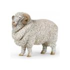 Mouton mérinos