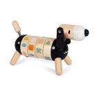 Chien des couleurs