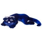 Manimo: chat 2 kg