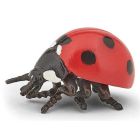 Papo: coccinelle