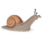 Papo: escargot