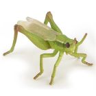 Sauterelle