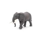 Éléphant d'afrique