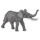 Éléphant