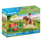 Country: cavalier et poney connemara