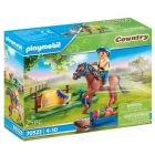 Country: cavalier avec poney brun