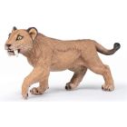 Jeune smilodon