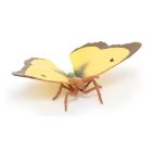 Papillon souci