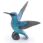 Colibri
