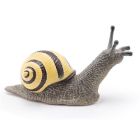 Escargot des bois