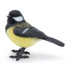 Mésange