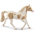 Jument « paint horse »