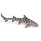 Requin léopard