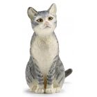 Chat assis