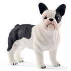 Bulldog français