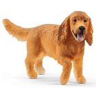 Chien cocker anglais