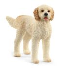 Chien goldendoodle