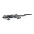 Lézard commun