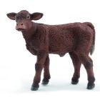 Veau salers