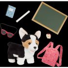 Chiot préscolaire pembrooke welsh corgi