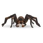 Aragog