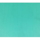 Carton de couleur vert