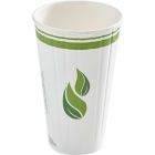Verre compostable isolé eco guardian 16 oz paquet de 40