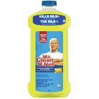 Nettoyant désinfectant multi-surfaces 1,21 l