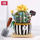 Cactus