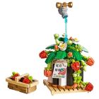 Plante bonsaï aux fraises