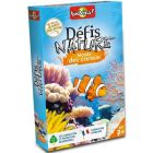 Défis nature / monde des coraux (fr)