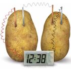 Horloge patate