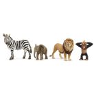 Kit de démarrage wild life africa