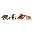 Kit de démarrage wild life asia