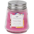 Petite chandelle guava gloss