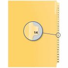 Index juridique numérique quest 13 à 25 #14