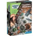 Fossiles et minéraux